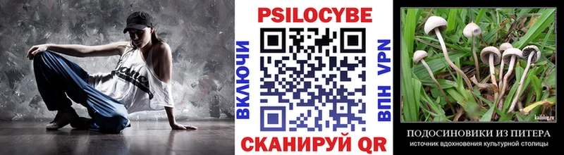 Псилоцибиновые грибы Magic Shrooms Тимашёвск